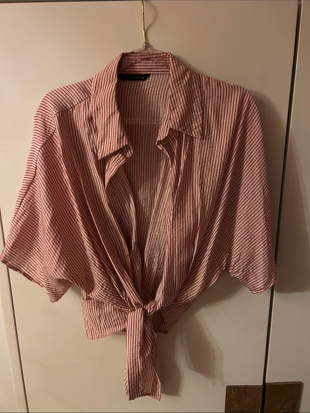 Zara Pink Striped Tie-Front Button Down Shirt